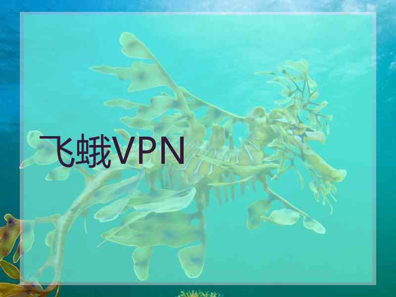 飞蛾VPN