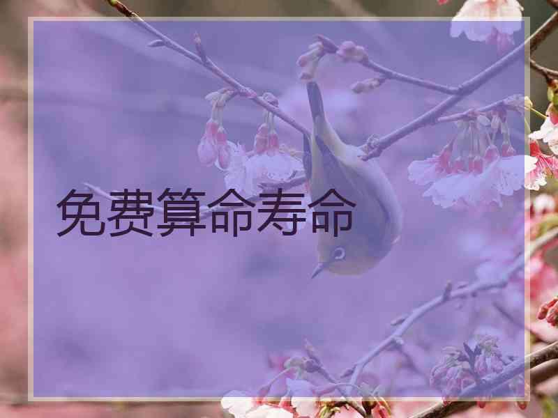 免费算命寿命