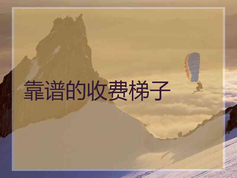 靠谱的收费梯子