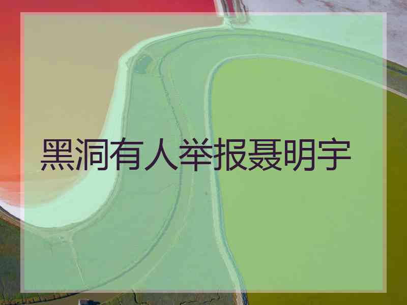 黑洞有人举报聂明宇