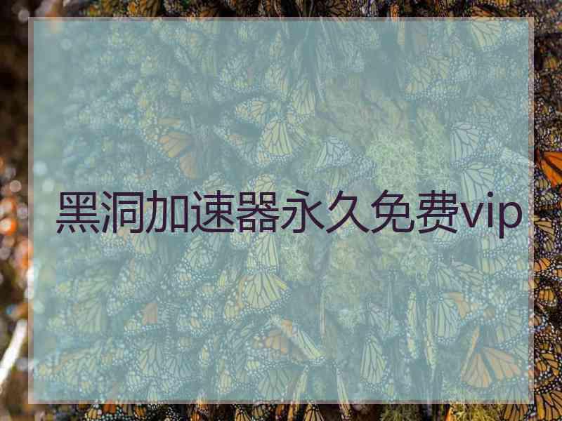 黑洞加速器永久免费vip