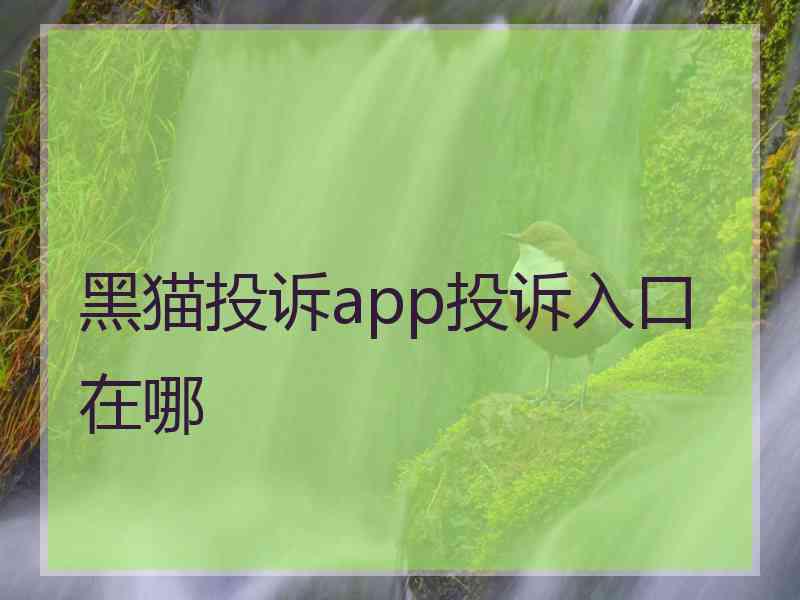 黑猫投诉app投诉入口在哪