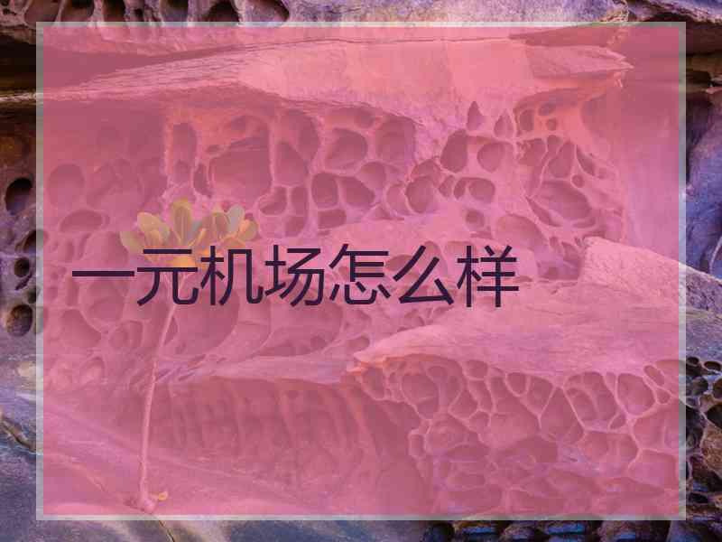 一元机场怎么样