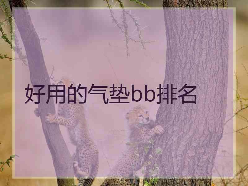 好用的气垫bb排名