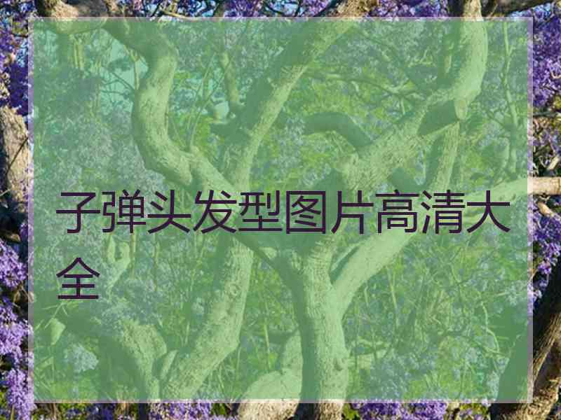 子弹头发型图片高清大全