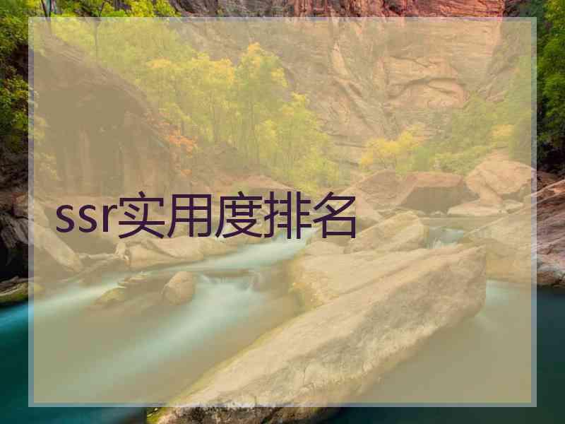 ssr实用度排名