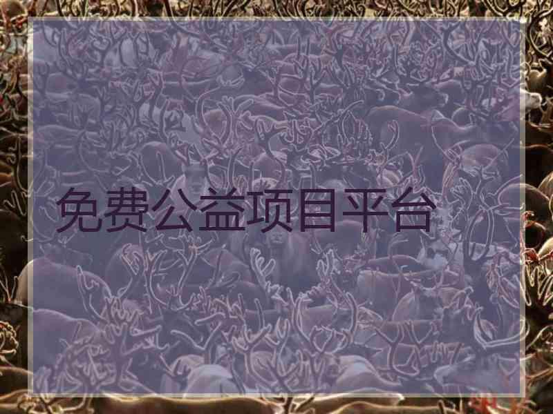 免费公益项目平台