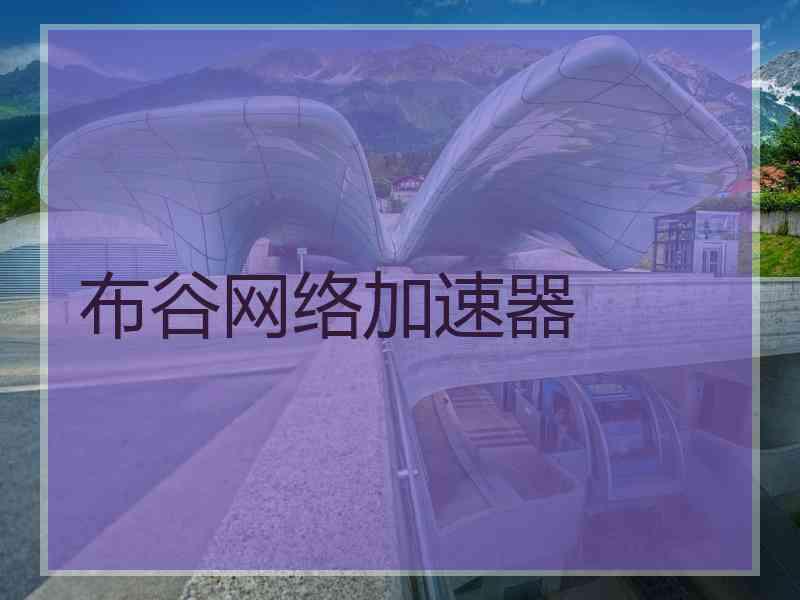 布谷网络加速器
