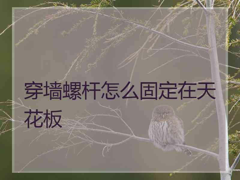 穿墙螺杆怎么固定在天花板
