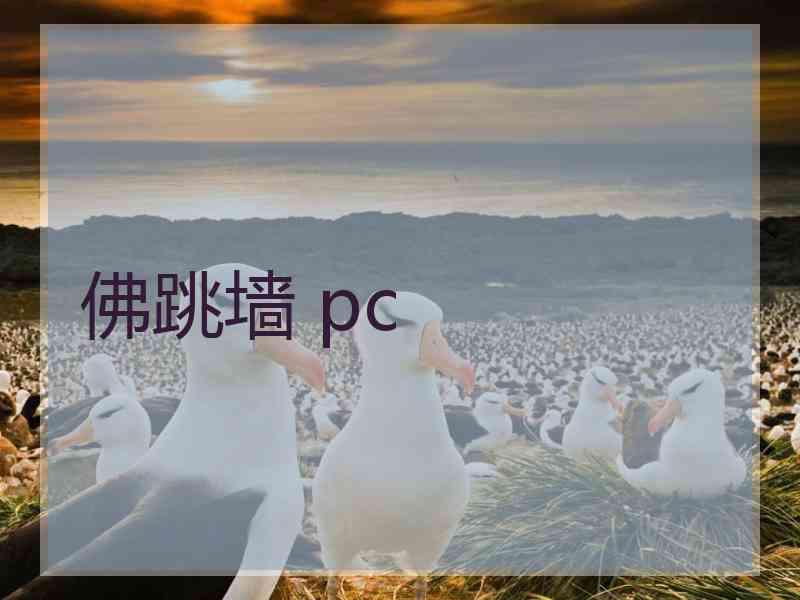 佛跳墙 pc