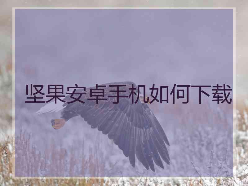 坚果安卓手机如何下载