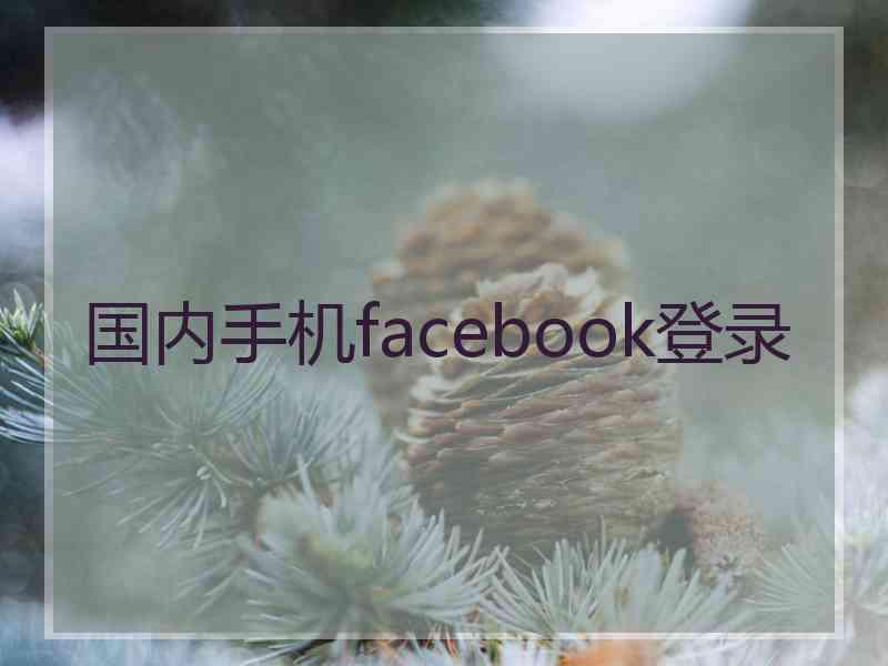 国内手机facebook登录
