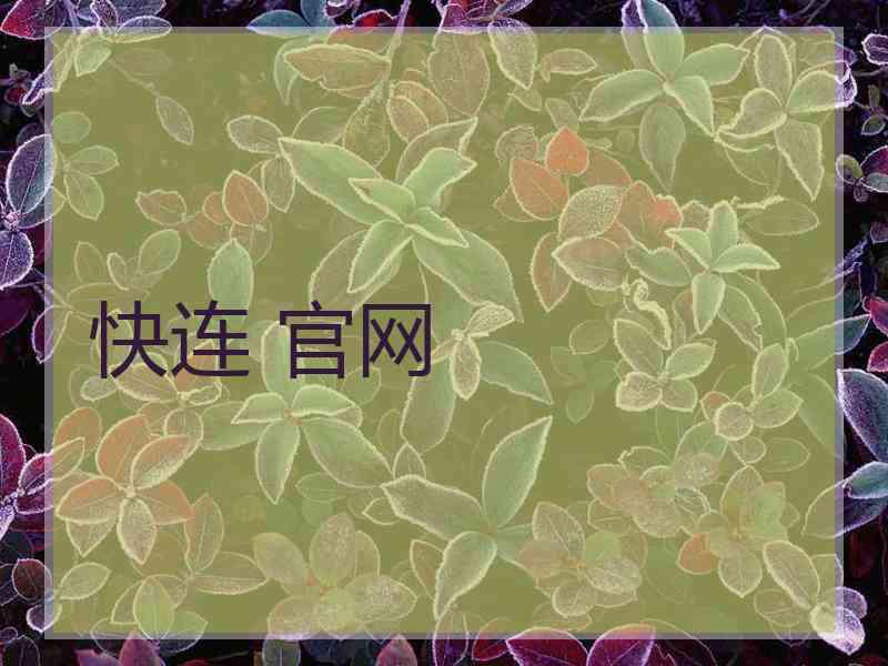 快连 官网