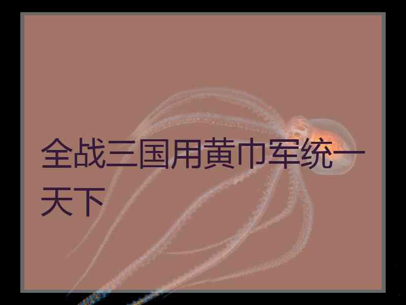 全战三国用黄巾军统一天下