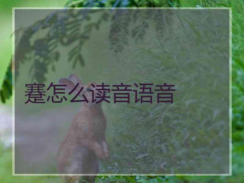 蹇怎么读音语音
