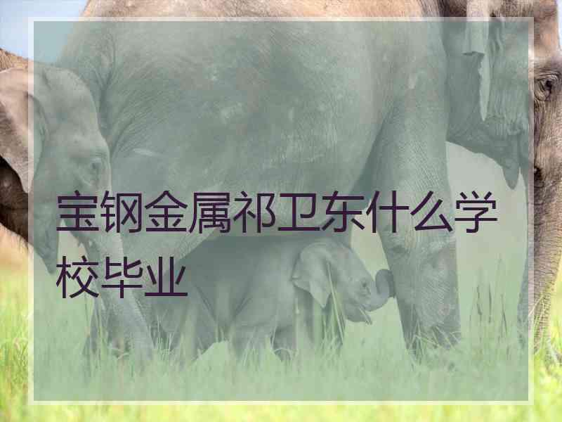 宝钢金属祁卫东什么学校毕业