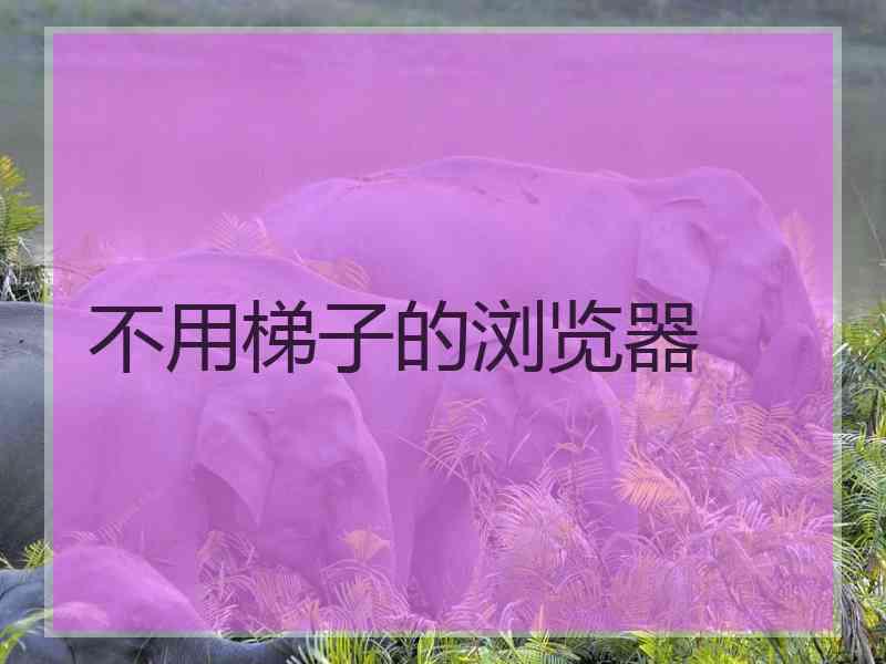 不用梯子的浏览器
