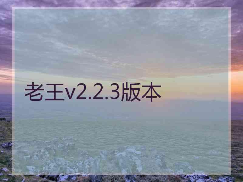 老王v2.2.3版本