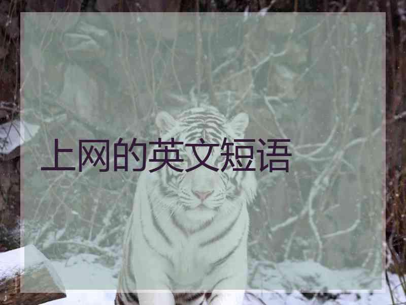 上网的英文短语