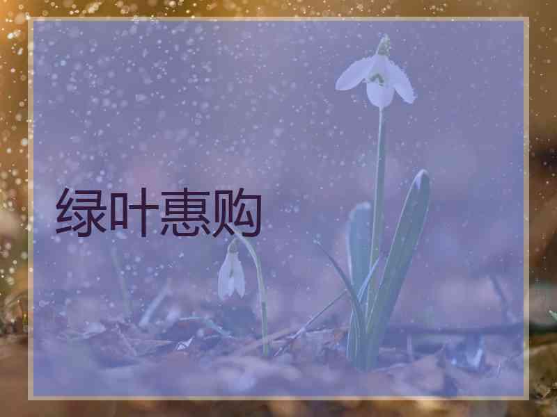 绿叶惠购