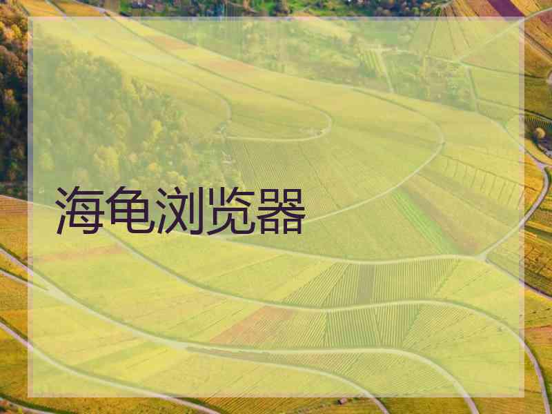 海龟浏览器