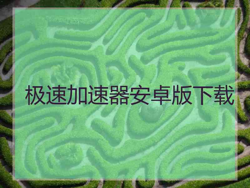 极速加速器安卓版下载
