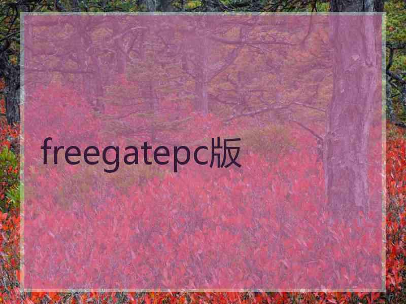 freegatepc版