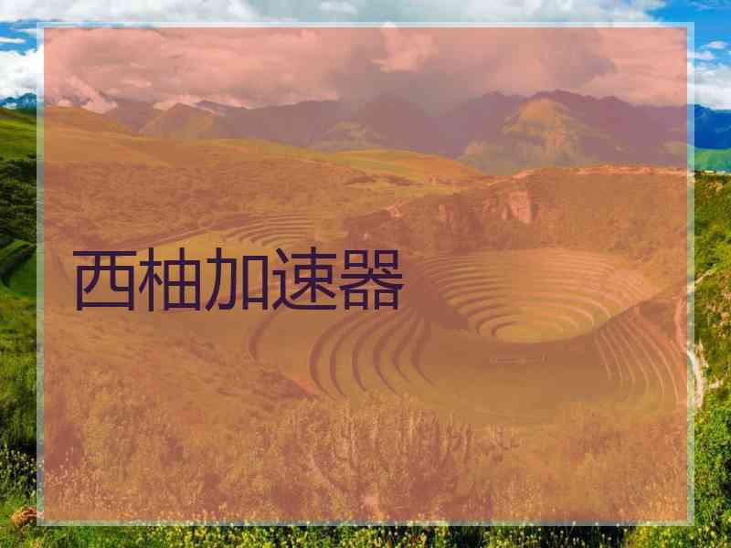 西柚加速器