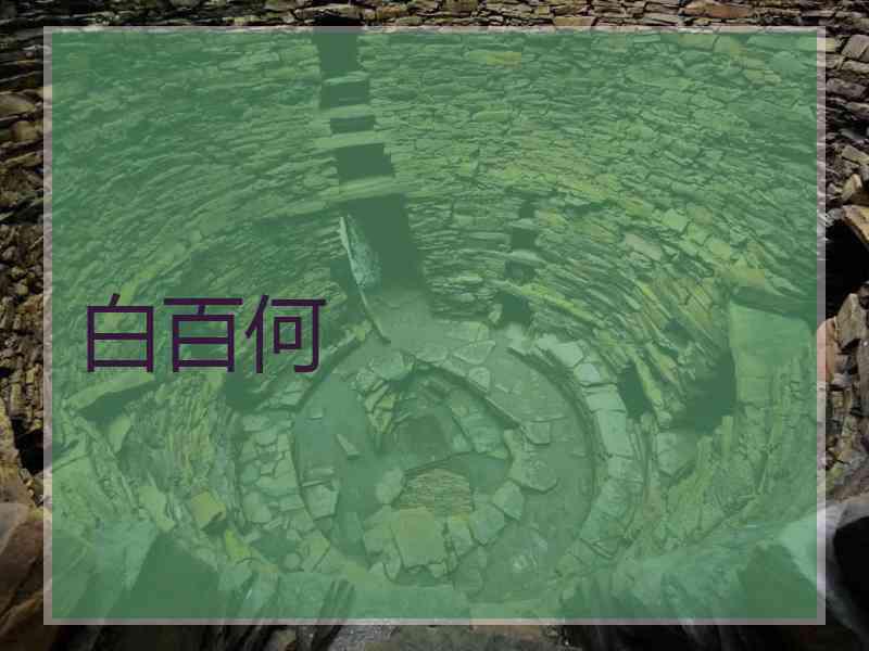 白百何