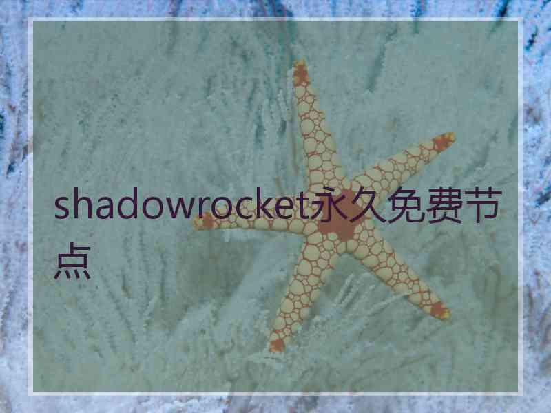 shadowrocket永久免费节点