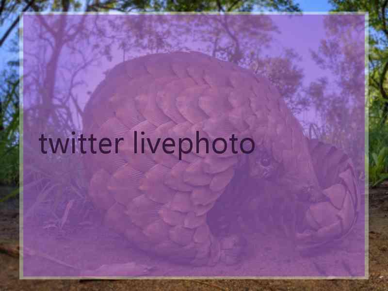 twitter livephoto