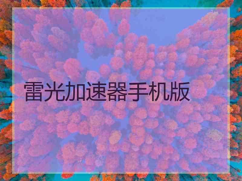 雷光加速器手机版