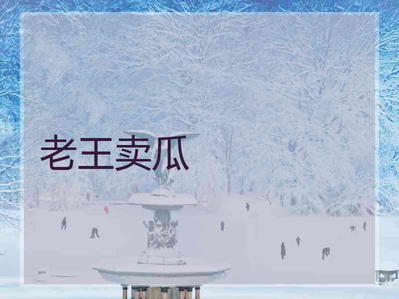 老王卖瓜