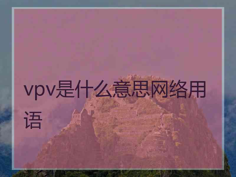 vpv是什么意思网络用语