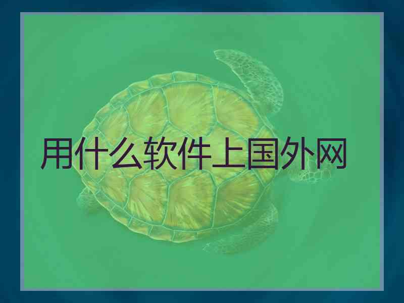 用什么软件上国外网