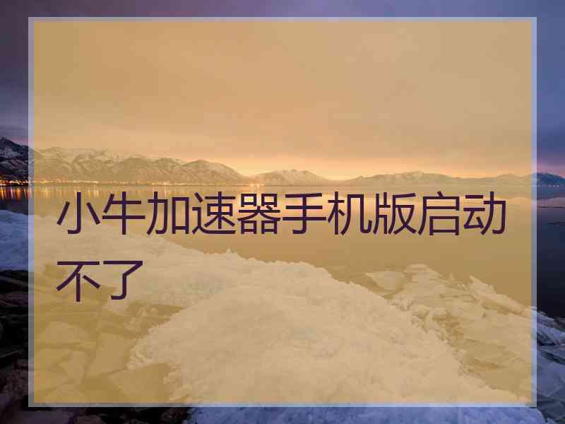 小牛加速器手机版启动不了