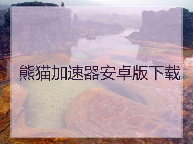 熊猫加速器安卓版下载