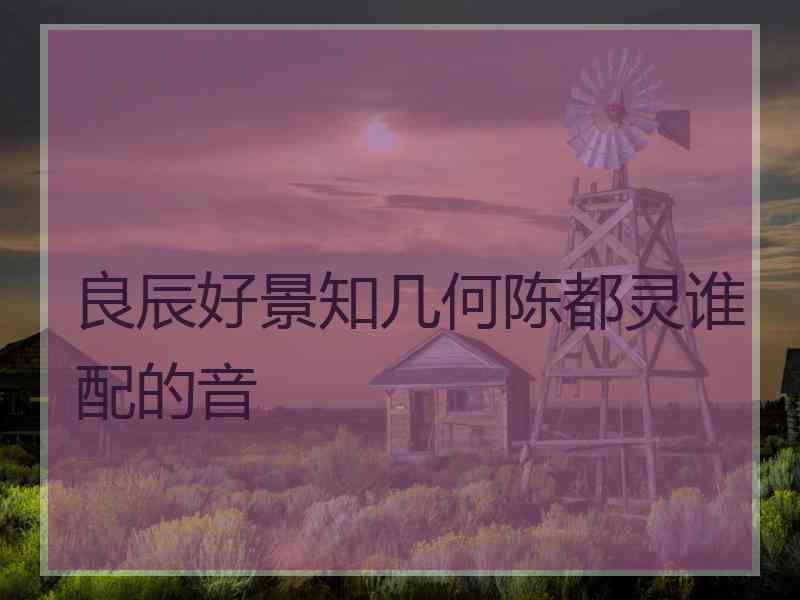 良辰好景知几何陈都灵谁配的音