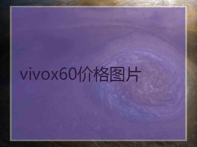 vivox60价格图片