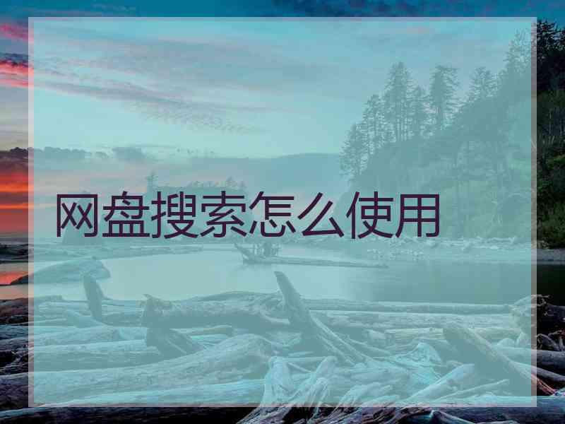 网盘搜索怎么使用