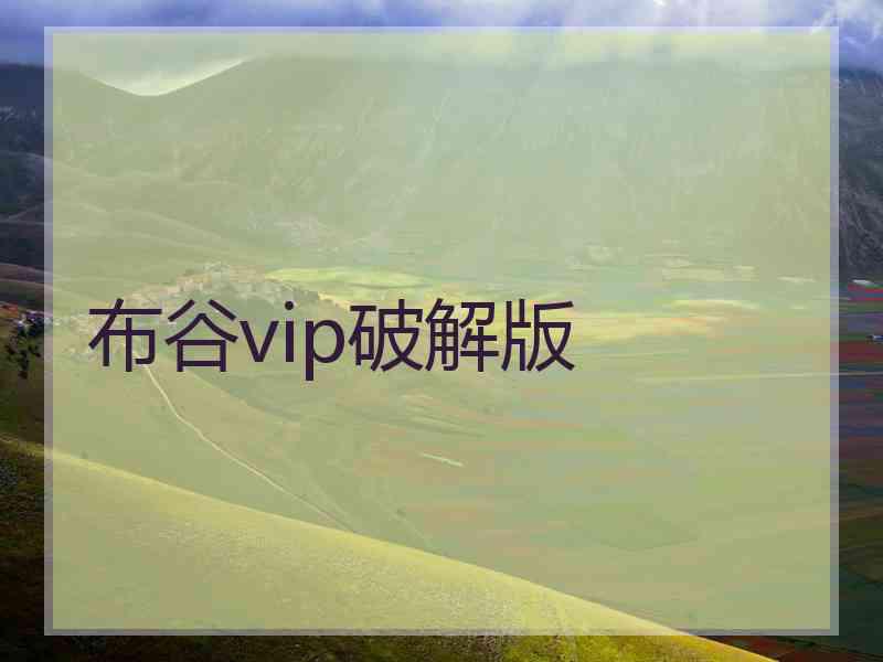 布谷vip破解版