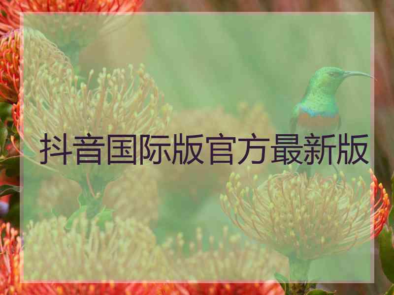 抖音国际版官方最新版