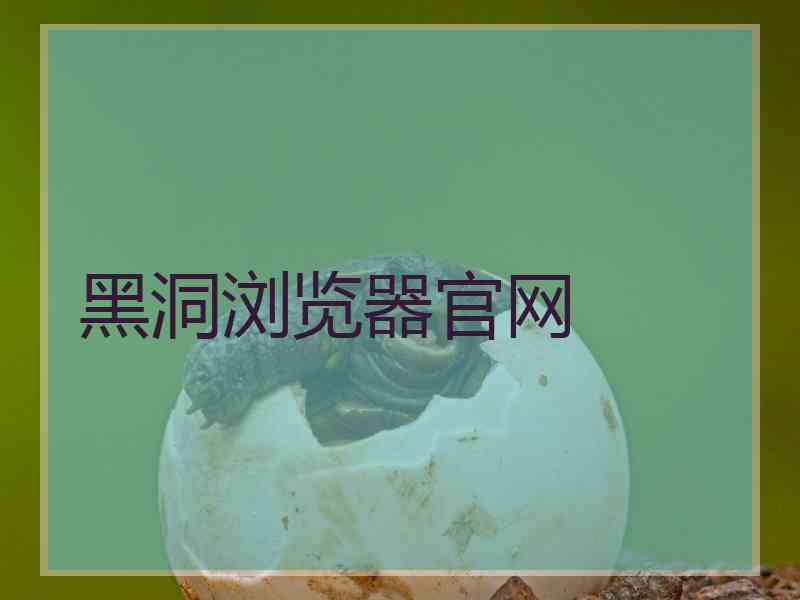 黑洞浏览器官网