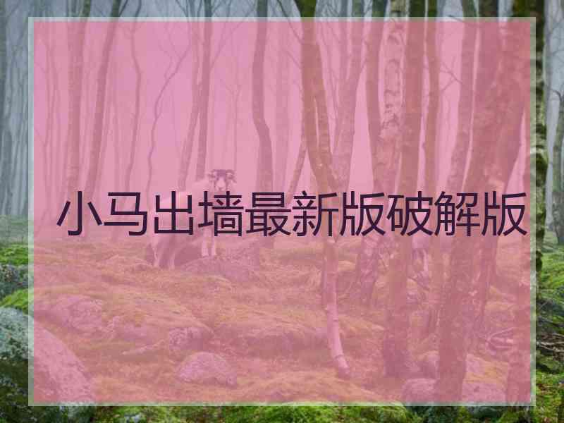 小马出墙最新版破解版