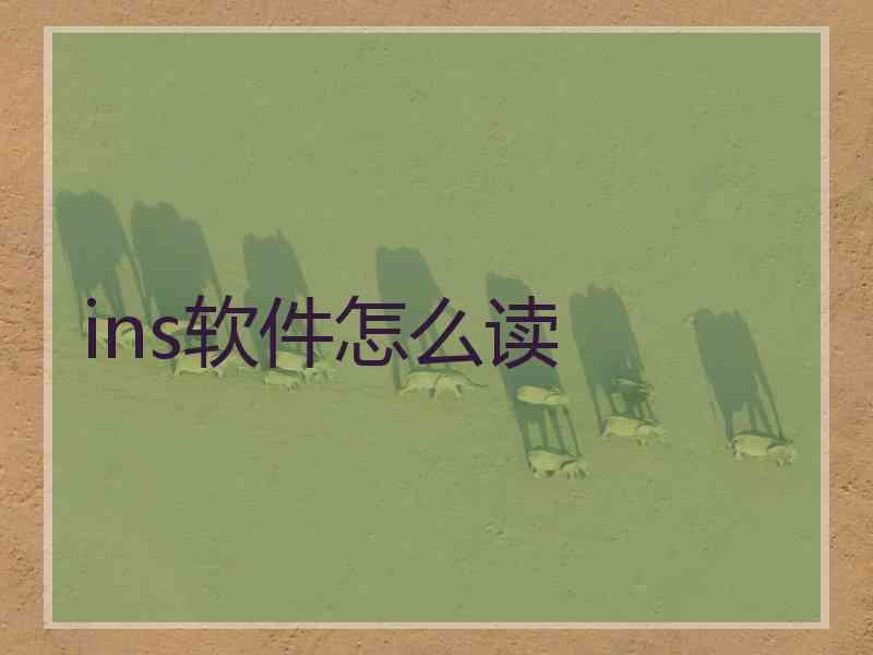 ins软件怎么读