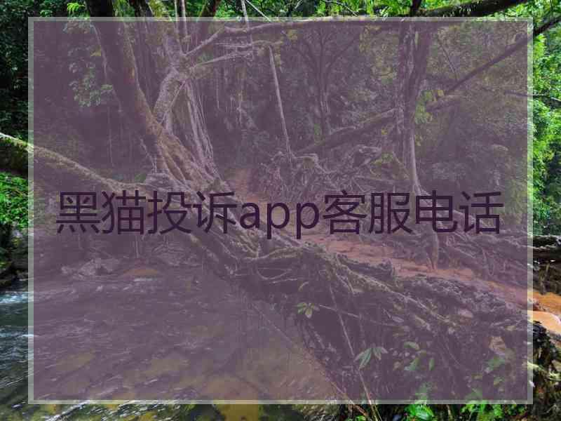黑猫投诉app客服电话