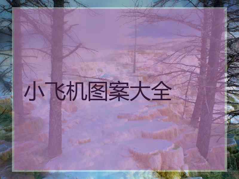 小飞机图案大全