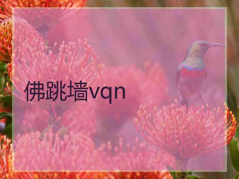 佛跳墙vqn