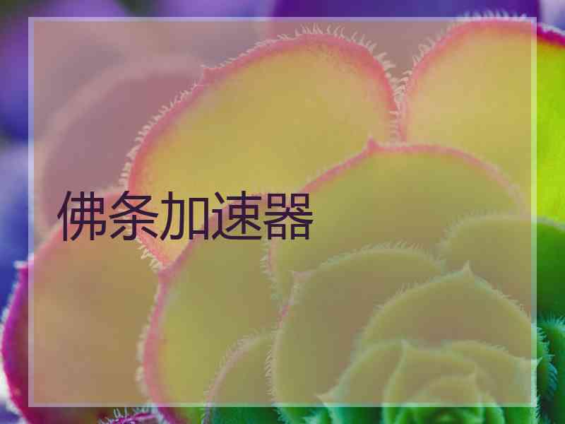 佛条加速器