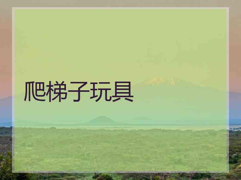 爬梯子玩具